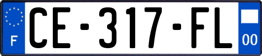 CE-317-FL