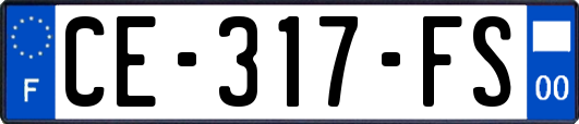 CE-317-FS