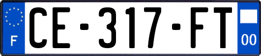 CE-317-FT
