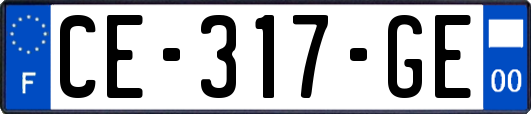 CE-317-GE