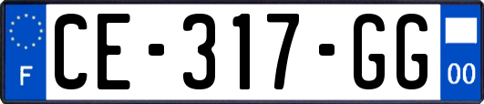 CE-317-GG
