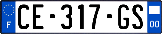 CE-317-GS