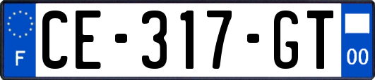 CE-317-GT