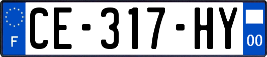 CE-317-HY