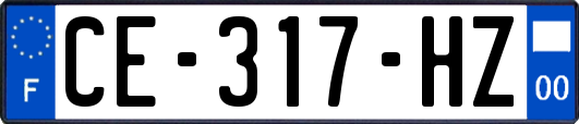 CE-317-HZ