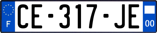 CE-317-JE