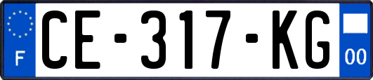 CE-317-KG