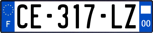 CE-317-LZ