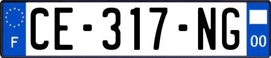 CE-317-NG