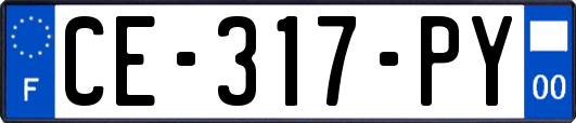 CE-317-PY