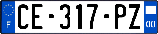 CE-317-PZ
