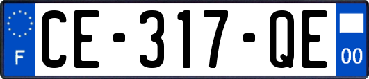 CE-317-QE