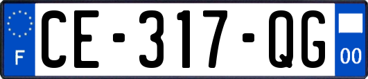 CE-317-QG