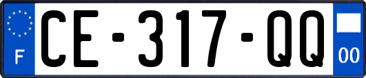 CE-317-QQ