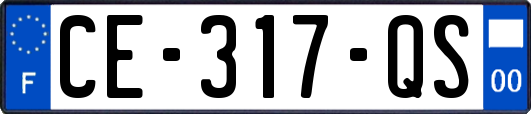 CE-317-QS
