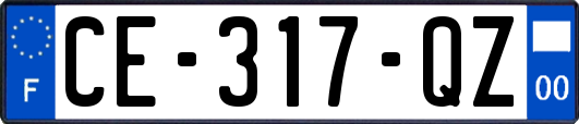 CE-317-QZ