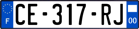 CE-317-RJ