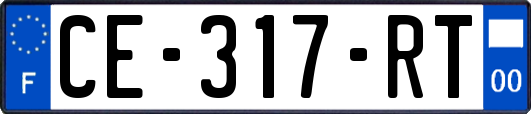 CE-317-RT