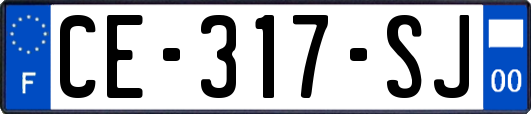 CE-317-SJ