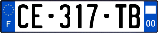 CE-317-TB