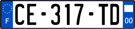 CE-317-TD
