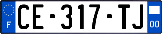 CE-317-TJ