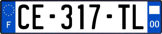 CE-317-TL