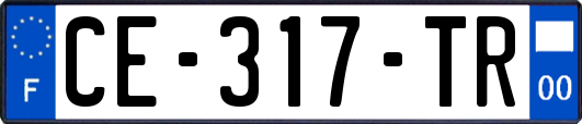 CE-317-TR