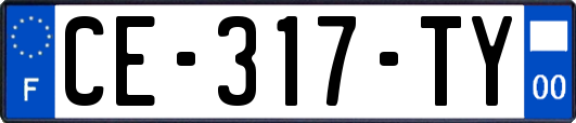 CE-317-TY