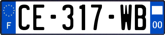 CE-317-WB