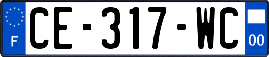 CE-317-WC