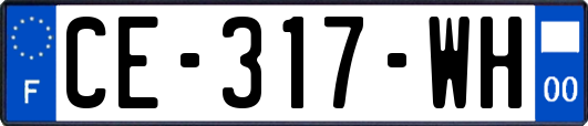 CE-317-WH