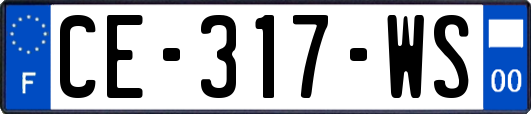 CE-317-WS