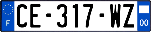 CE-317-WZ