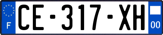 CE-317-XH