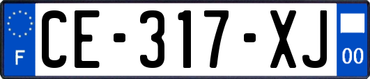 CE-317-XJ