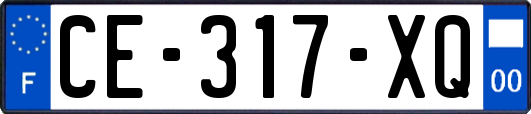 CE-317-XQ