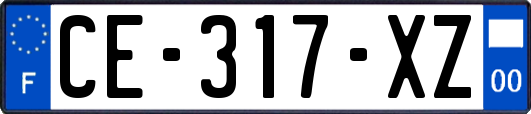 CE-317-XZ