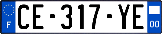 CE-317-YE