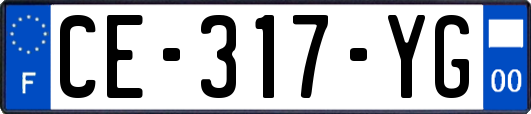 CE-317-YG