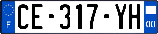 CE-317-YH