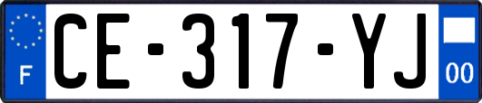CE-317-YJ