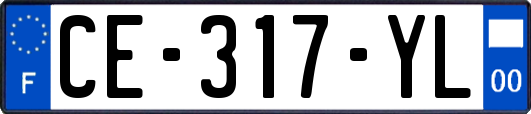 CE-317-YL