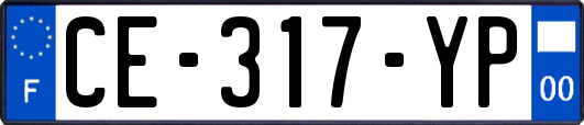 CE-317-YP