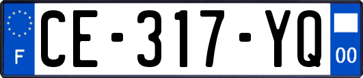 CE-317-YQ