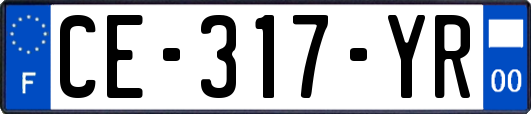 CE-317-YR