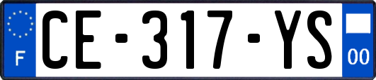 CE-317-YS