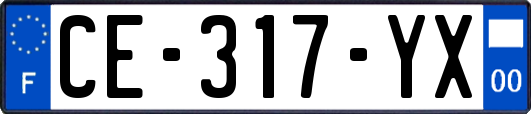 CE-317-YX
