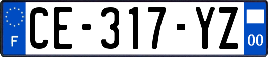 CE-317-YZ