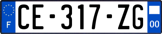 CE-317-ZG